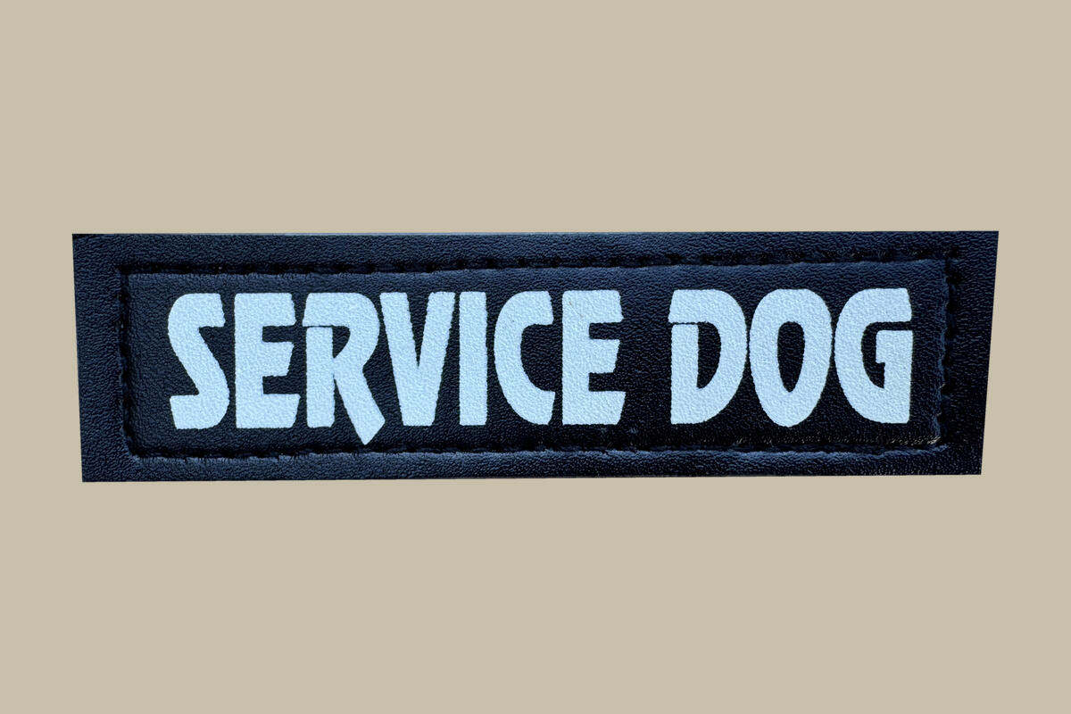 Service Dog